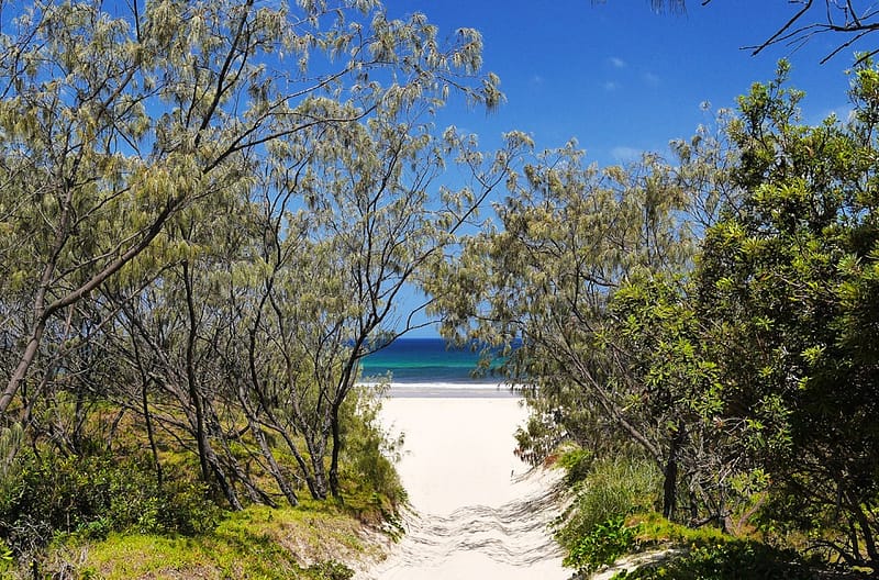Fraser Island rental