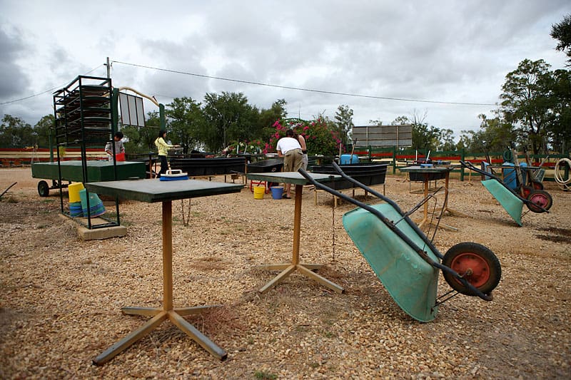 Сапфиры в Австралии