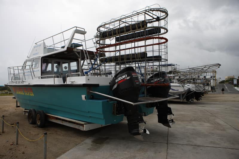 Белые акулы в ЮАР