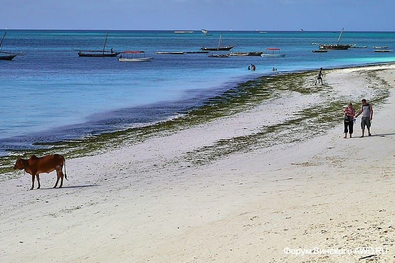 Дайв центр на Занзибаре