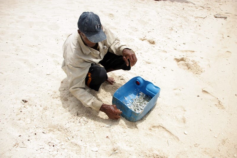 Острова Кайос Кочинос, Гондурас