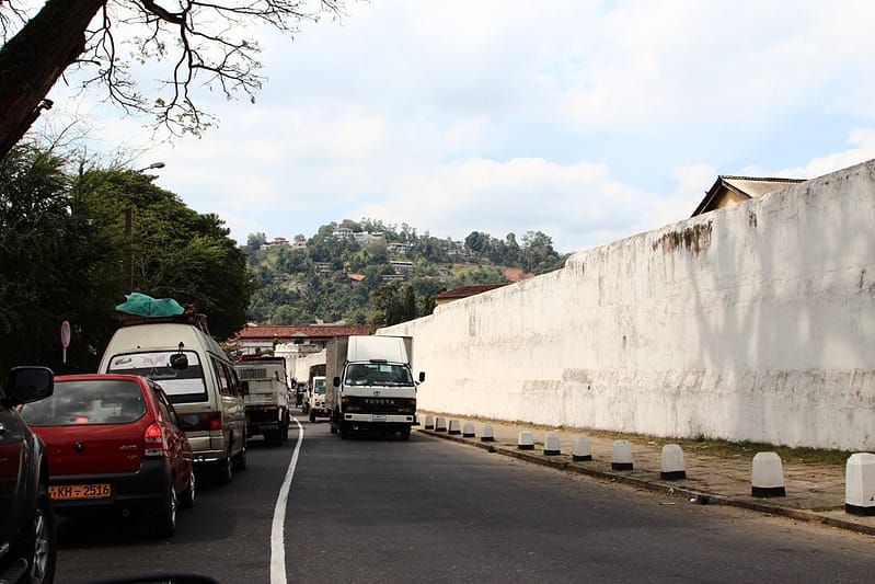 Отдых на Шри-Ланке отзывы