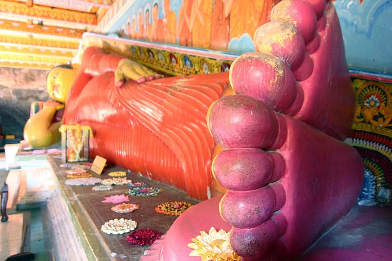 Отдых на Шри-Ланке отзывы