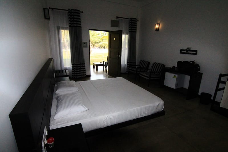 Отдых на Шри-Ланке отзывы