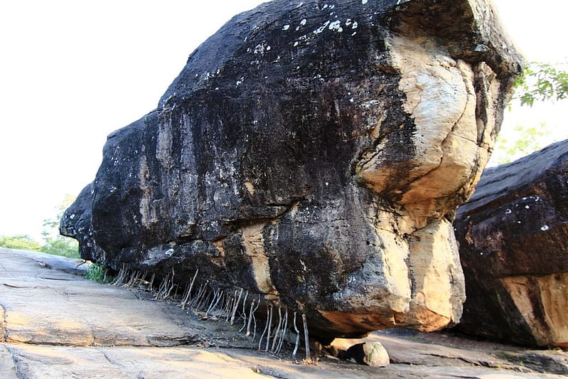 Отдых на Шри-Ланке отзывы