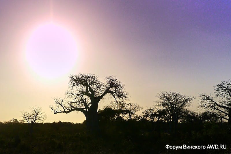 Занзибар Танзания