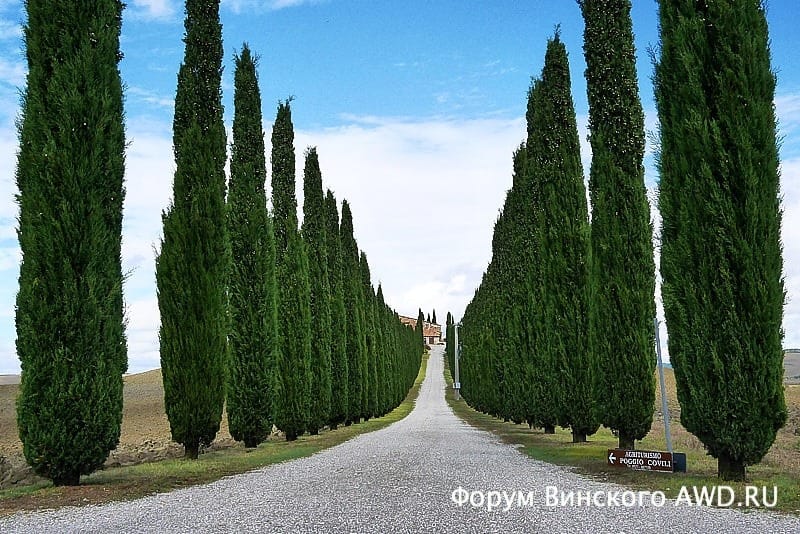 Винный тур по Тоскане