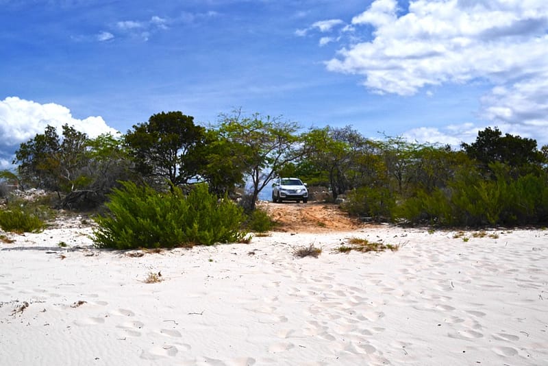 Лучшие пляжи Доминиканы