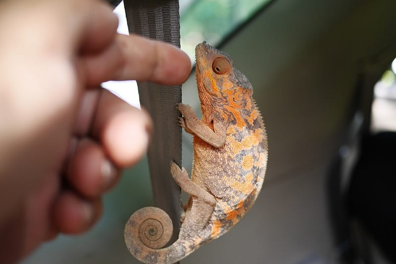 Остров Нуси-Бе Мадагаскар