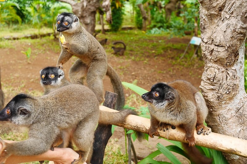 Остров Нуси-Бе Мадагаскар
