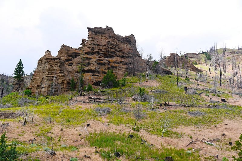 Парк Йеллоустоун отзыв