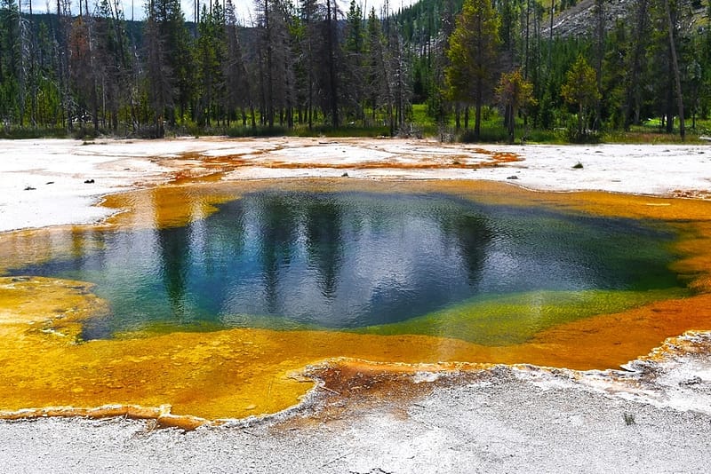 Парк Йеллоустоун отзыв