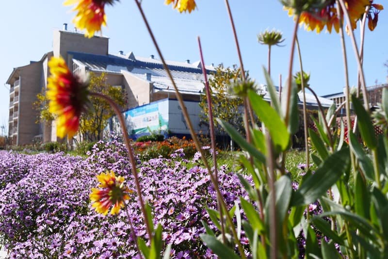 Как не болеть вообще