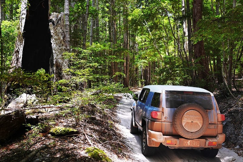 Fraser Island travel