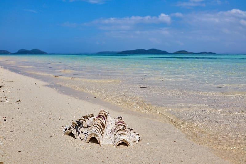 Винский итоги 2017