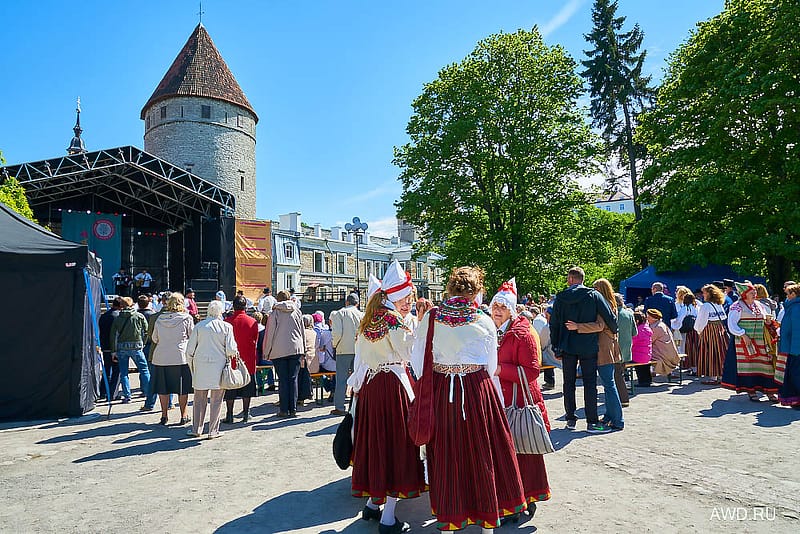 Что посмотреть в Эстонии
