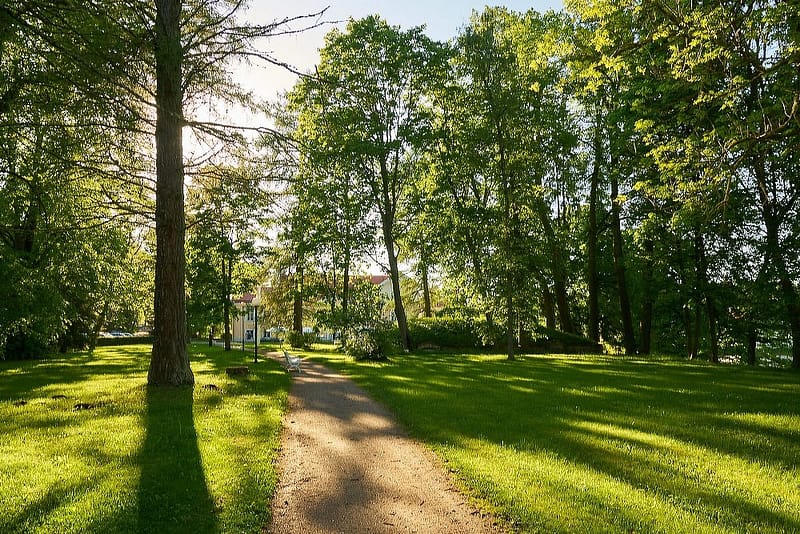 Мыза Вихула Эстония