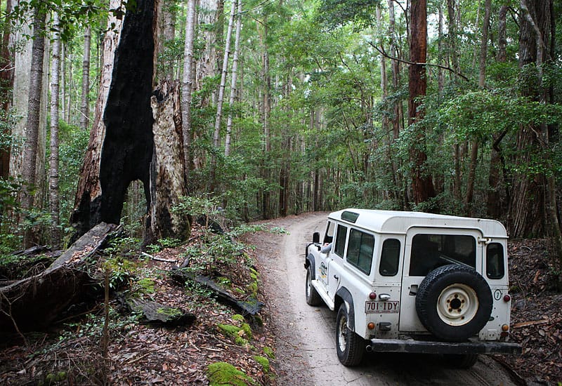 По острову Фрейзер на джипе