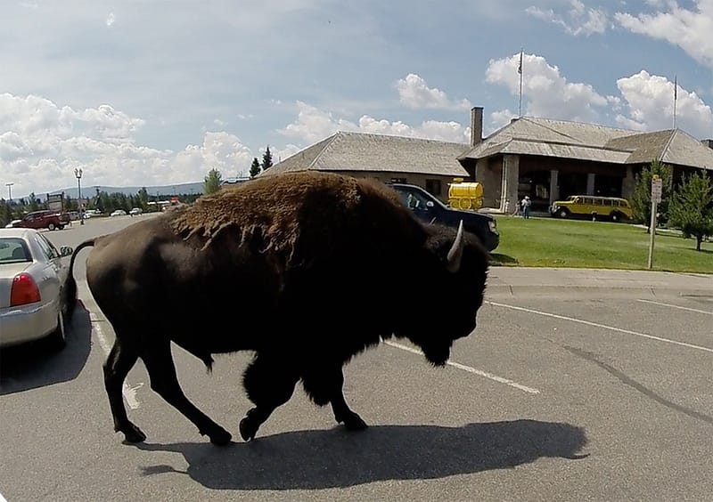 Парк Йеллоустоун отзыв