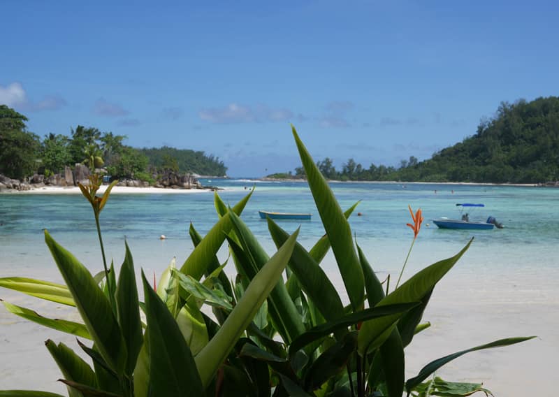 Хороший ресторан на острове Маэ