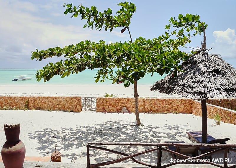 Занзибар Танзания пляжи