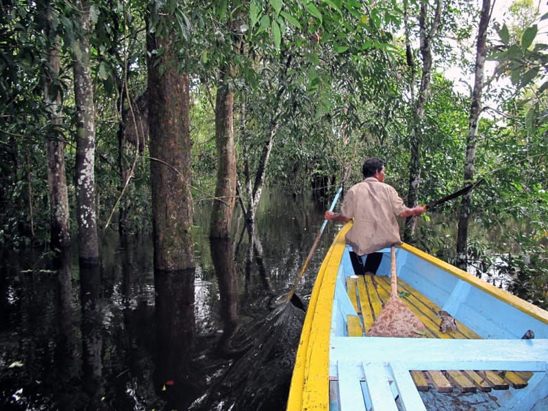 Как выжить в джунглях Амазонки