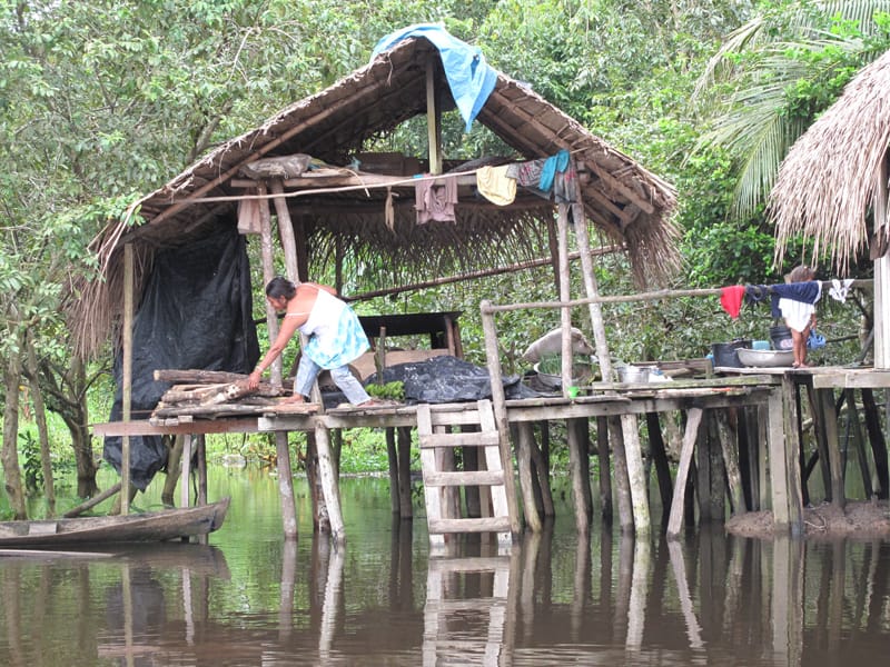 Индейцы Амазонии. Жизнь в джунглях