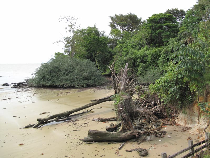 Белен Бразилия достопримечательности