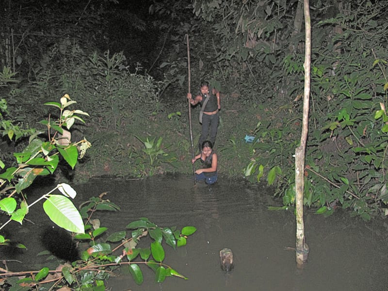 Шаманы в Колумбии или звезды над Амазонкой