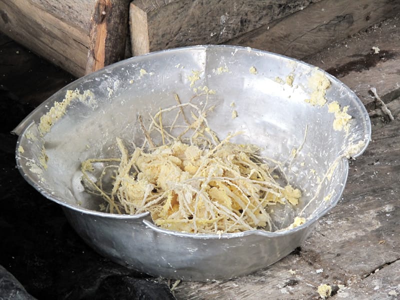 Индейцы Амазонии. Жизнь в джунглях