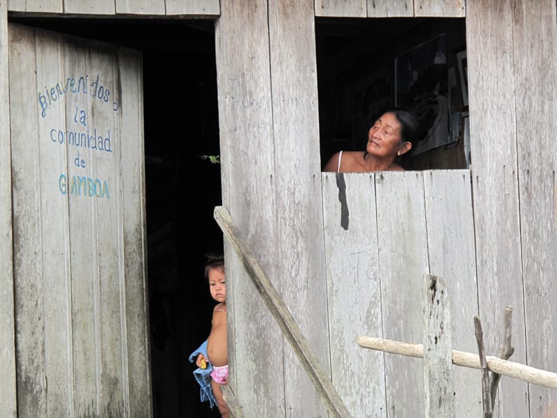 Индейцы Амазонии. Жизнь в джунглях