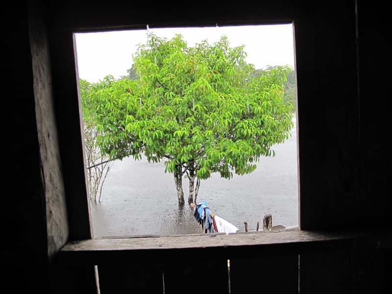 Главы из амазонского дневника: "Окно"
