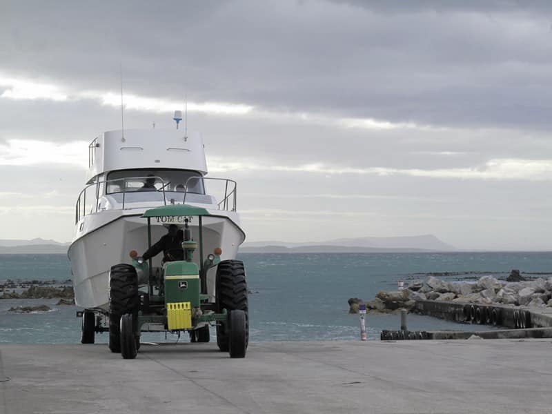 Белые акулы в ЮАР