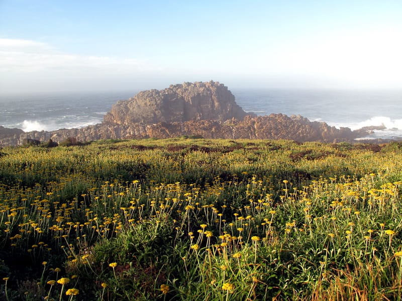 Tsitsikamma National park