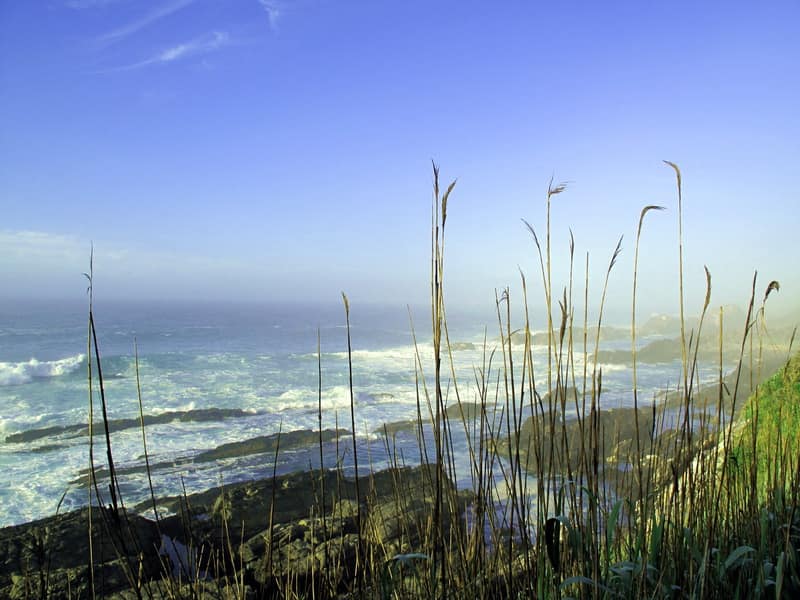 Tsitsikamma National park