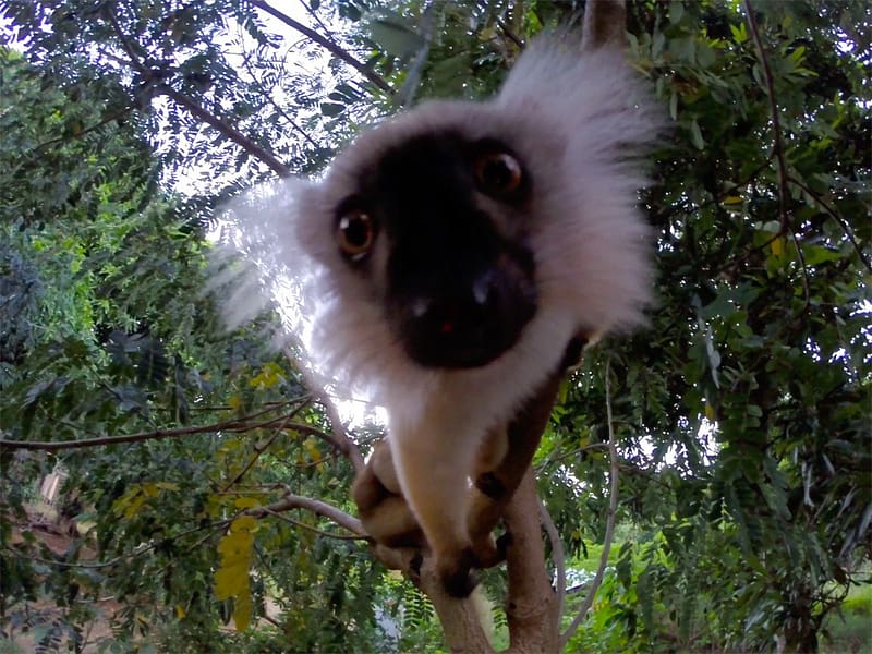 Остров Нуси-Бе Мадагаскар
