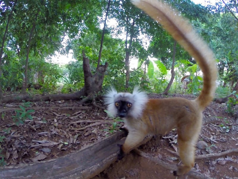 Остров Нуси-Бе Мадагаскар