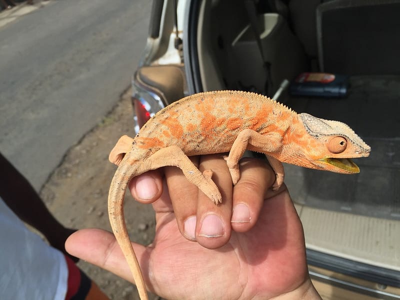 Остров Нуси-Бе Мадагаскар