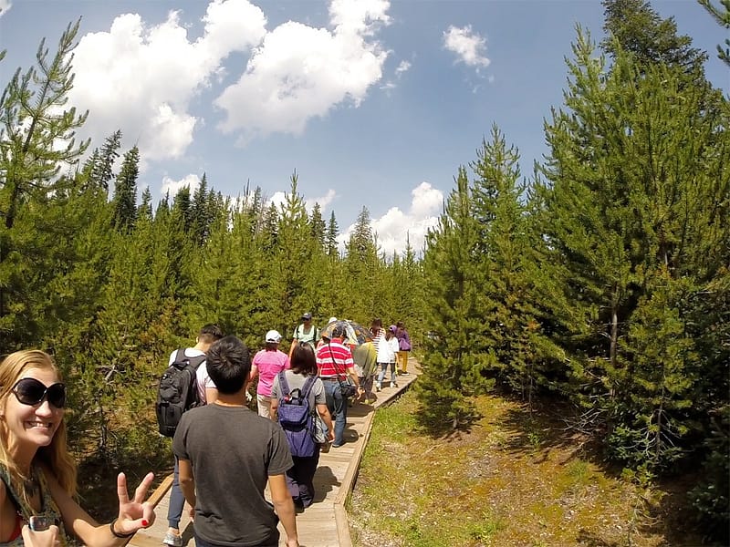 Парк Йеллоустоун отзыв