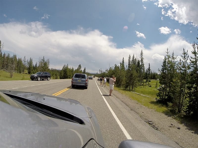 Парк Йеллоустоун отзыв