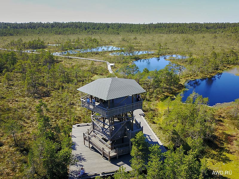 Что посмотреть в Эстонии