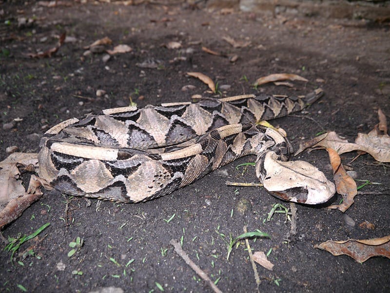 бужумбура бурунди