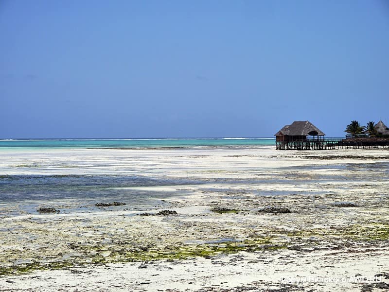 Джамбиани Занзибар