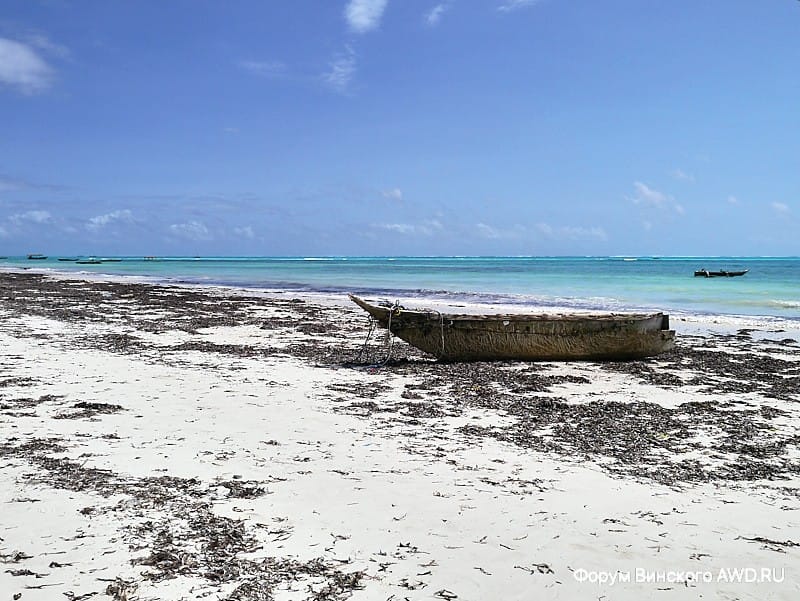 Пляж Пингве Занзибар