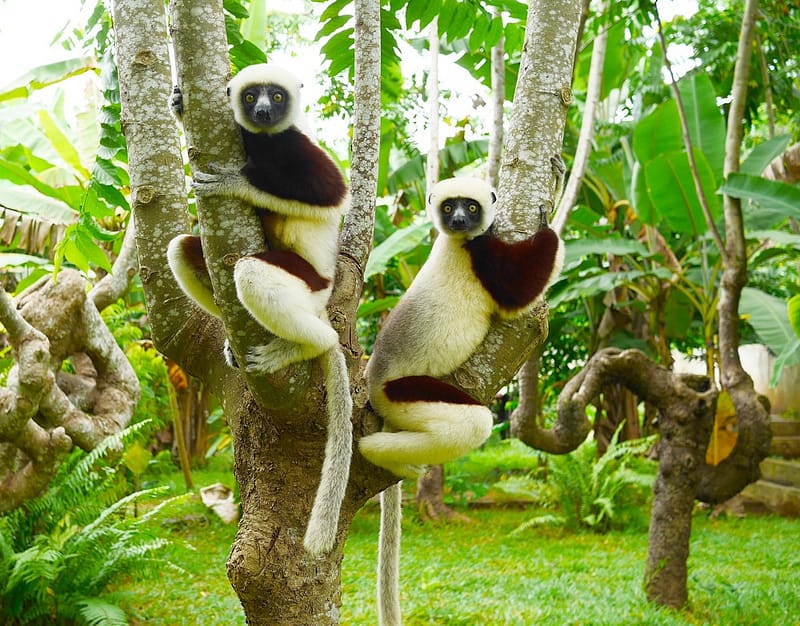 Остров Нуси-Бе Мадагаскар