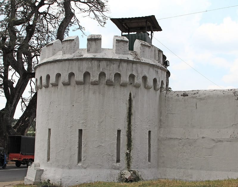 Отдых на Шри-Ланке отзывы