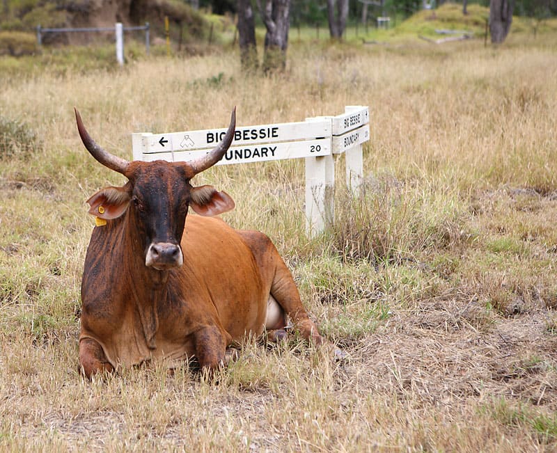 Gemfields в Австралии