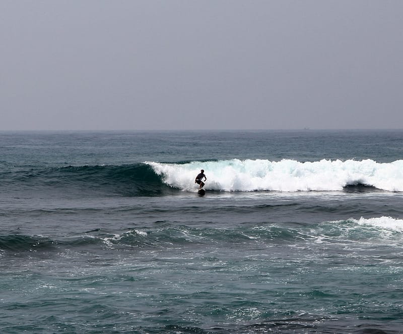 Отдых на Шри-Ланке отзывы