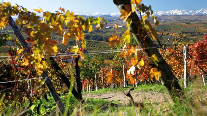 Выходные в Италии Пьемонт