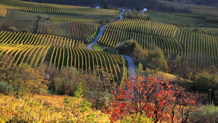 Выходные в Италии Пьемонт